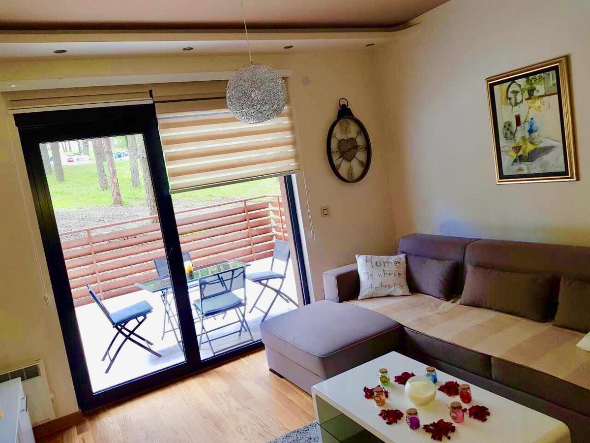 Apartment Jelena Златибор Екстериор снимка